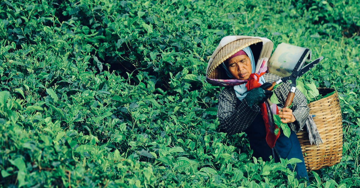 Labour Migration Trends in South Asia